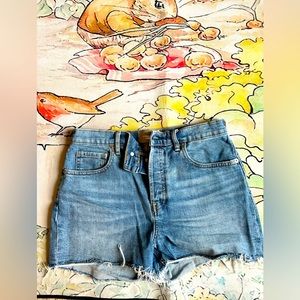 Everlane Blue Jean Shorts